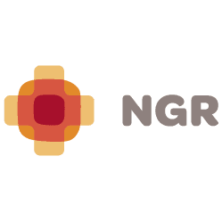 NG RESTAURANTS S.A. logo